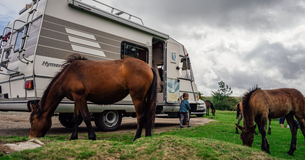 Best KY Horse Park Camping 2026: Top 5 Campgrounds Ranked