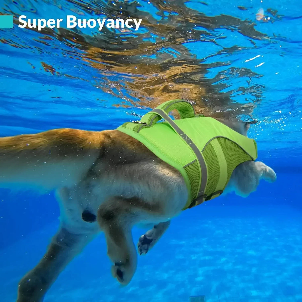 Dog Life Jacket with Rescue Handle, Reflective High-Buoyancy Pet Vest, XS–XXL