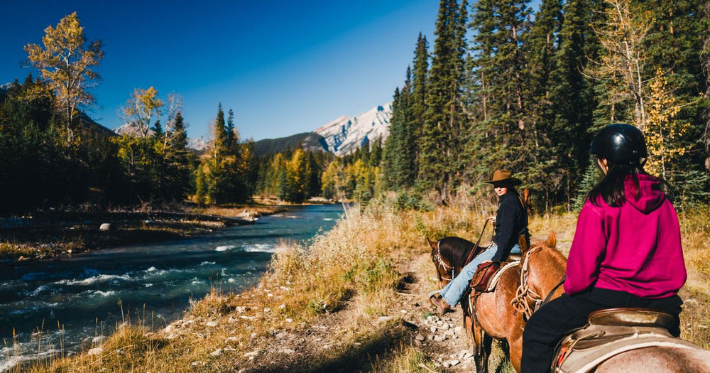 Best Horseback Camping Trip Outfitters 2026: Top 5 Ranked