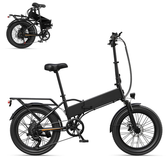 DYU A20 750W（peak 1200W） Electric Bike Folding Ebike 48V 20" Adult Fast Commuter Bicycle 45km/h